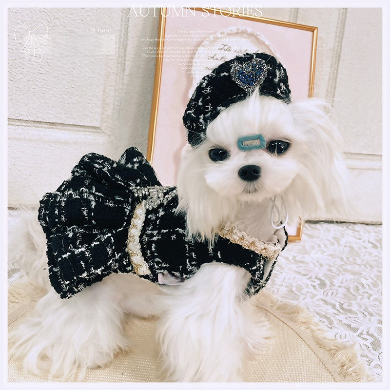 Small white dog wearing a black and white outfit with a large bow, sitting on a textured surface.