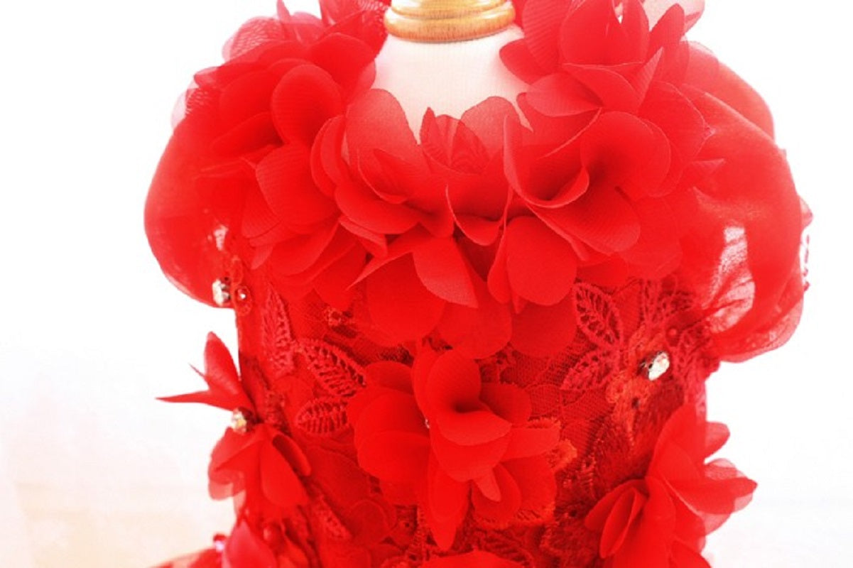 Decorative red flower arrangement on a white background