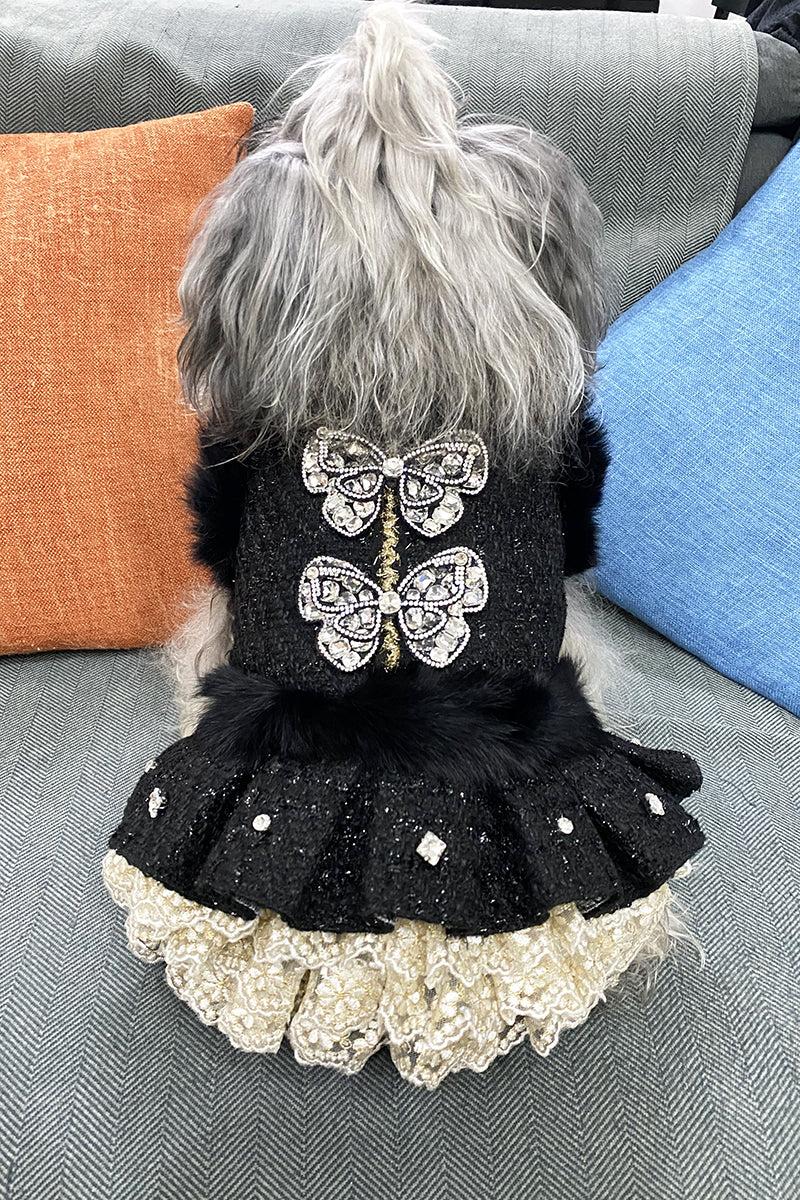 Dog wearing a black dress with butterfly design and white lace trim on a gray couch.