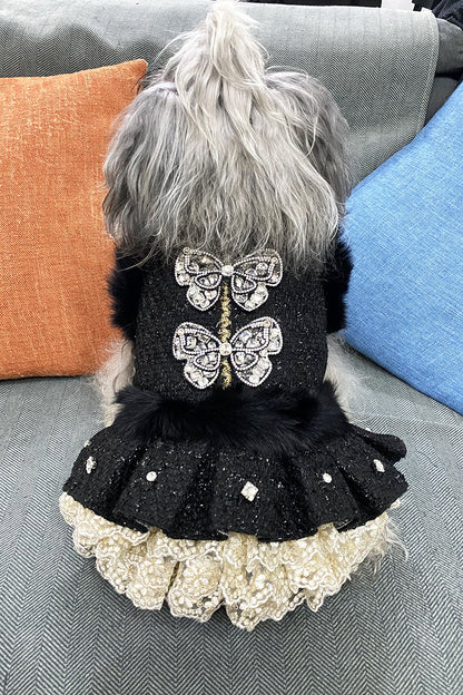 Dog wearing a black dress with butterfly design and white lace trim on a gray couch.