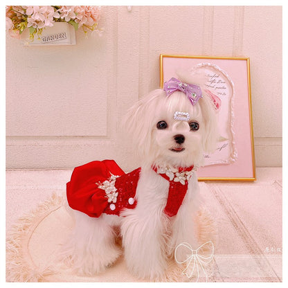White dog wearing a red outfit with a bow on a pink background