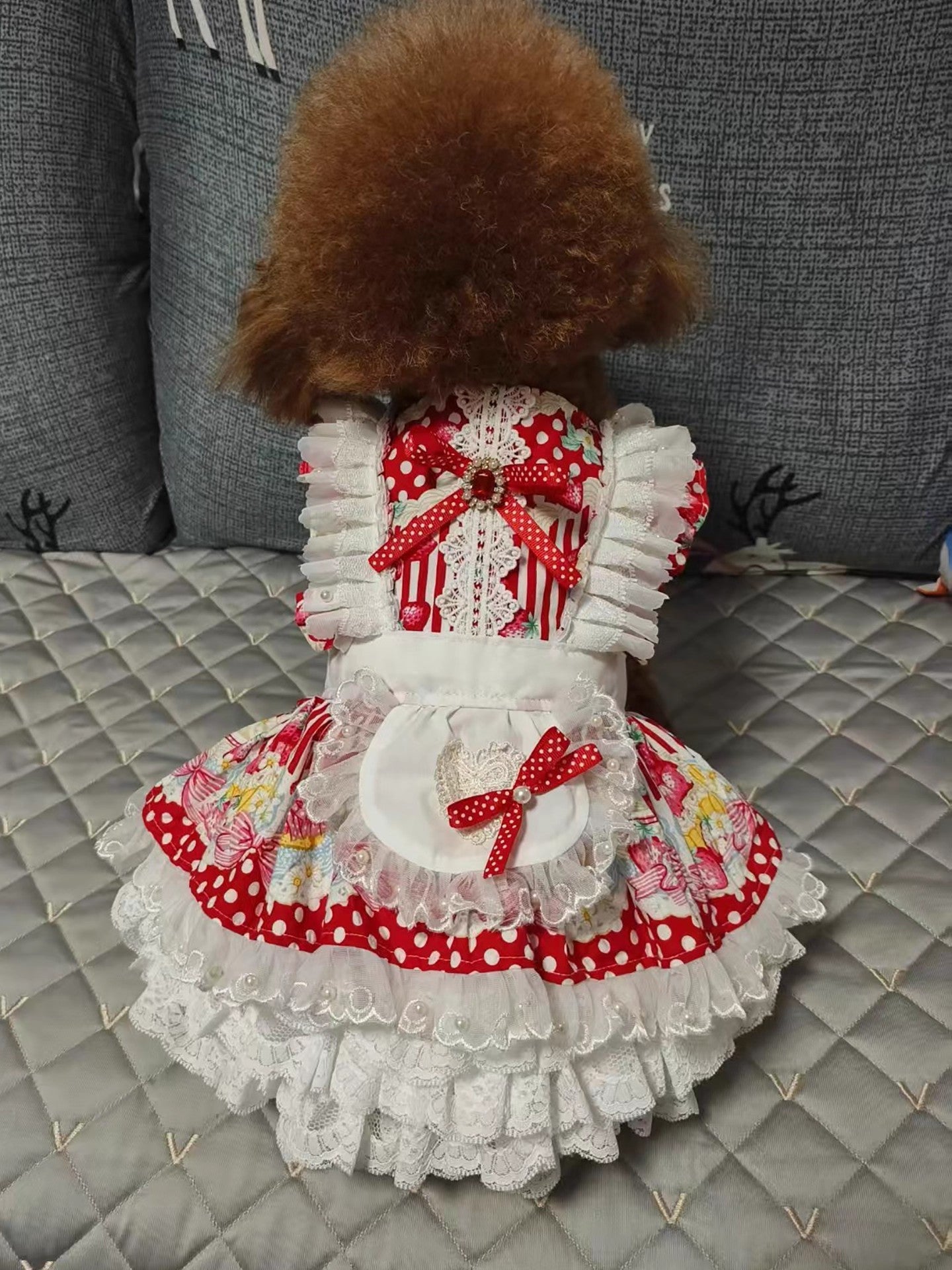 Small dog wearing a red and white polka dot dress with ruffles on a textured surface.