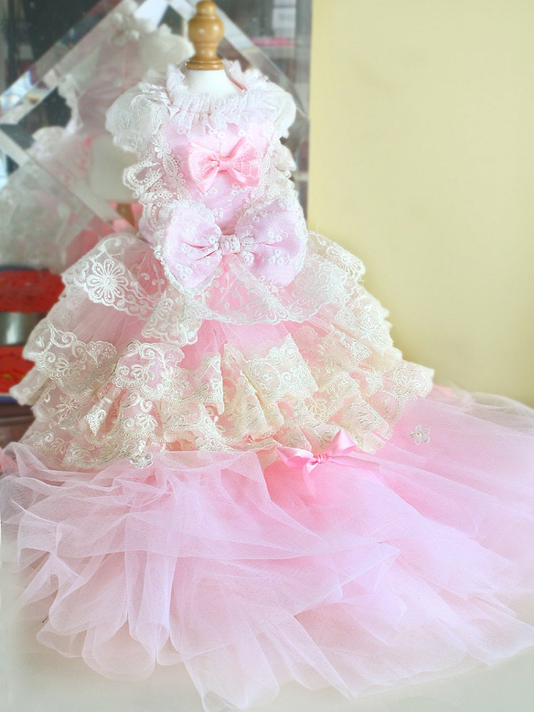 Pink and white lace dress on a mannequin against a neutral background