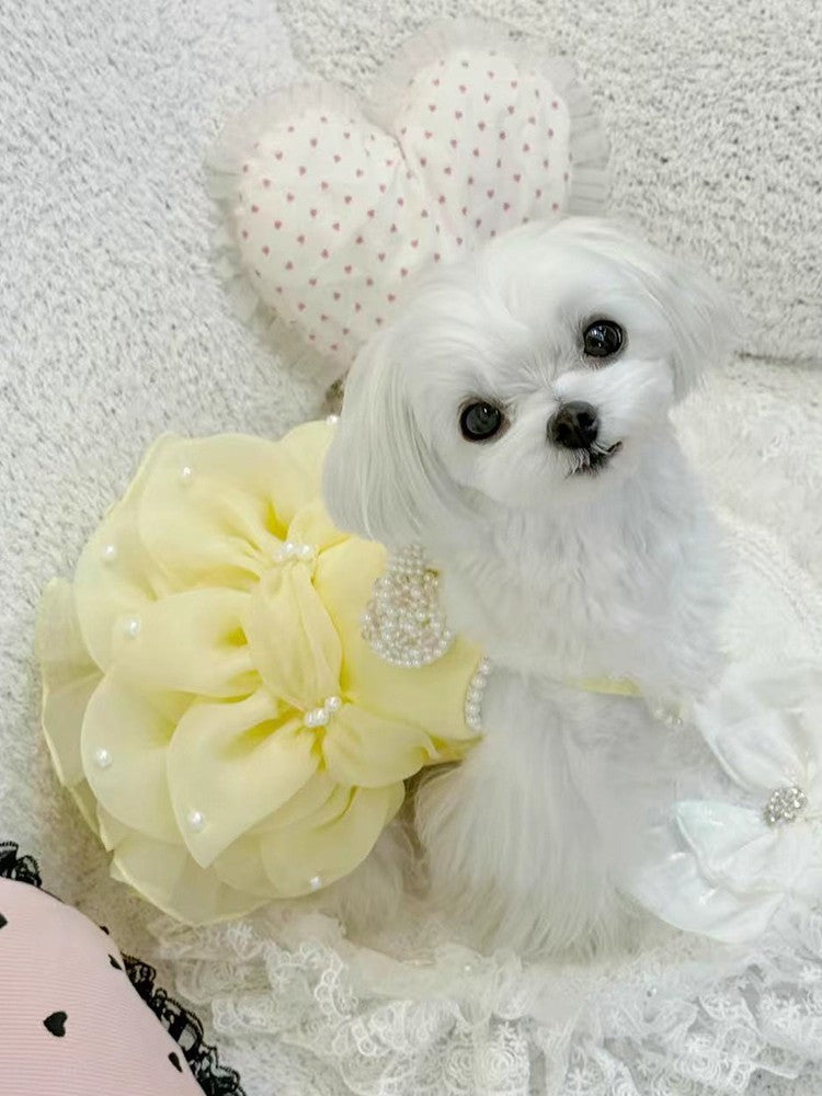 Small white dog with decorative flowers and hearts on a textured background
