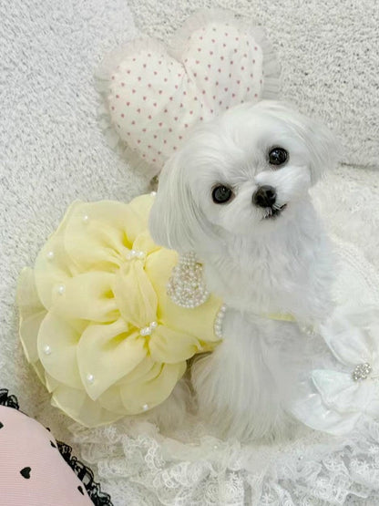 Small white dog with decorative flowers and hearts on a textured background