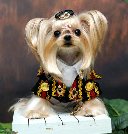 Small dog with styled hair wearing a formal outfit on a wooden box