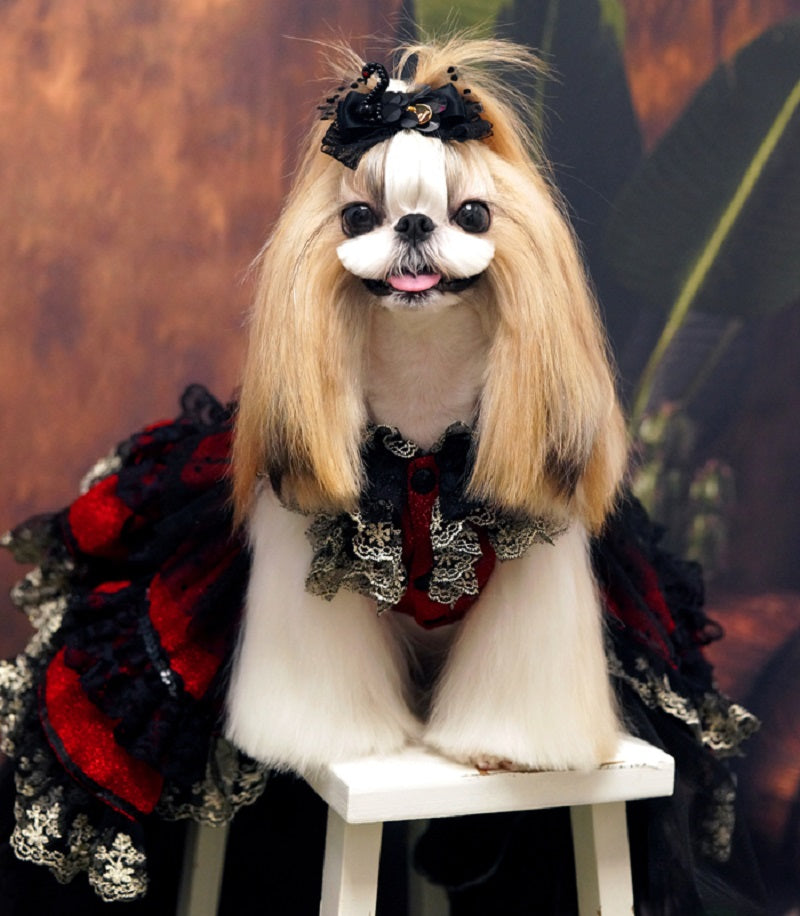 Dog dressed in a gothic-style outfit with red and black plaid pattern, sitting on a white stool.