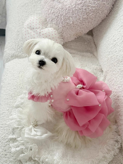 Small white dog wearing a pink floral dress with pearls on a soft, light-colored background