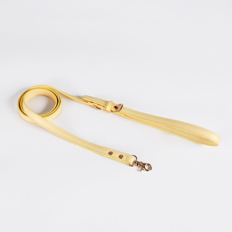 Gold metal dog leash on a light gray background