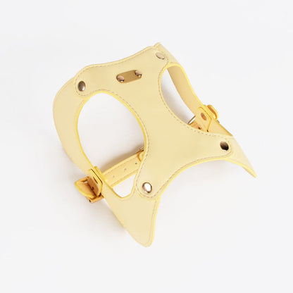 Gold leather dog muzzle on a white background