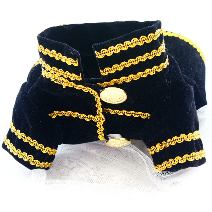 Black velvet dog coat with gold trim and buttons on a white background