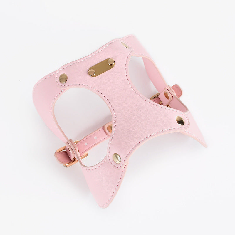 Pink leather harness with gold hardware on a white background