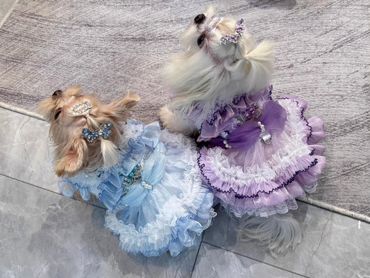 Two dogs wearing decorative outfits on a tiled floor.