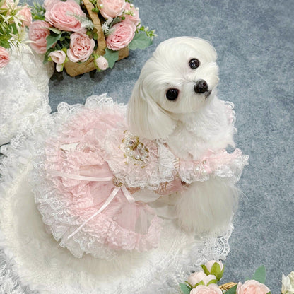 White dog in a pink and white dress with flowers in the background