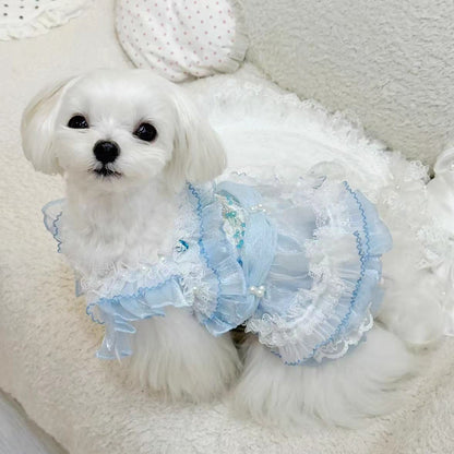 Small white dog wearing a light blue dress with ruffles on a white background