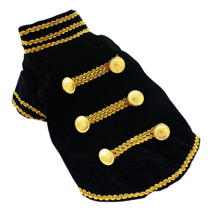 Black dog sweater with gold buttons and trim on a white background