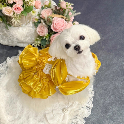 Small white dog in a yellow dress with flowers and lace in the background