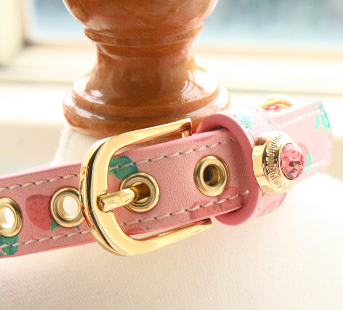 Pink dog collar with gold hardware on a white surface