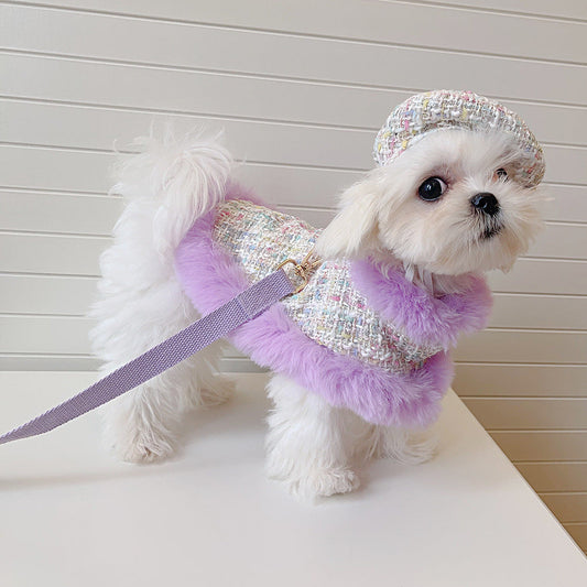Small white dog wearing a sparkly outfit with a purple leash on a light background