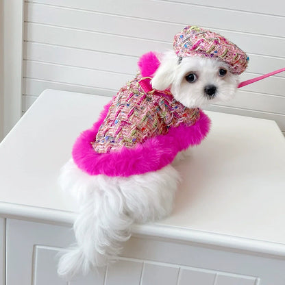 Small white dog wearing a colorful outfit with pink trim on a white surface.