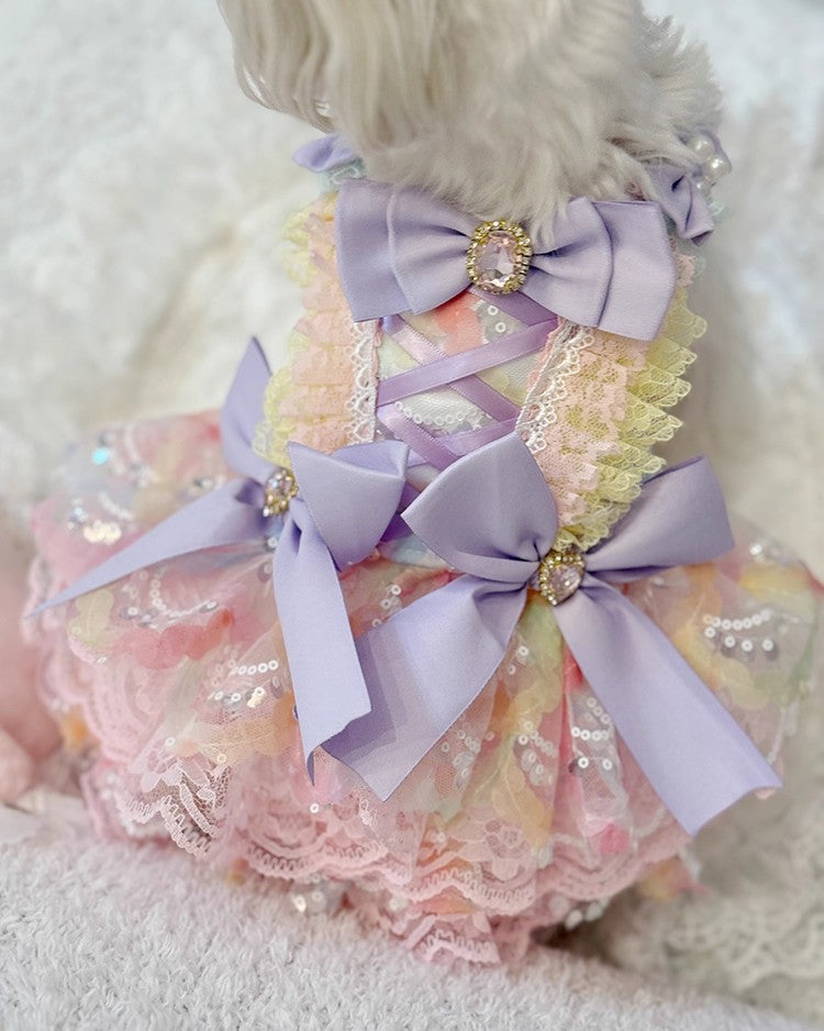 Dog wearing a colorful dress with bows and sequins on a soft white background
