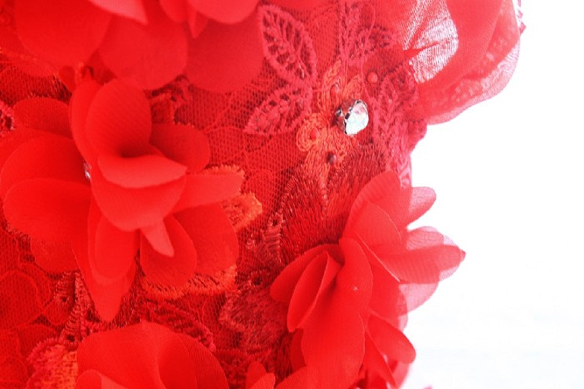 Close-up of red floral lace fabric on a white background