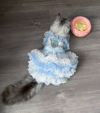 Cat wearing a blue dress on a wooden floor next to a pink bowl.