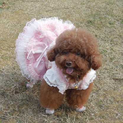 Small brown dog wearing a pink dress with white lace trim on a grassy background