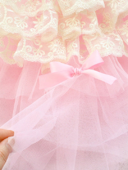 Close-up of pink tulle fabric with lace details