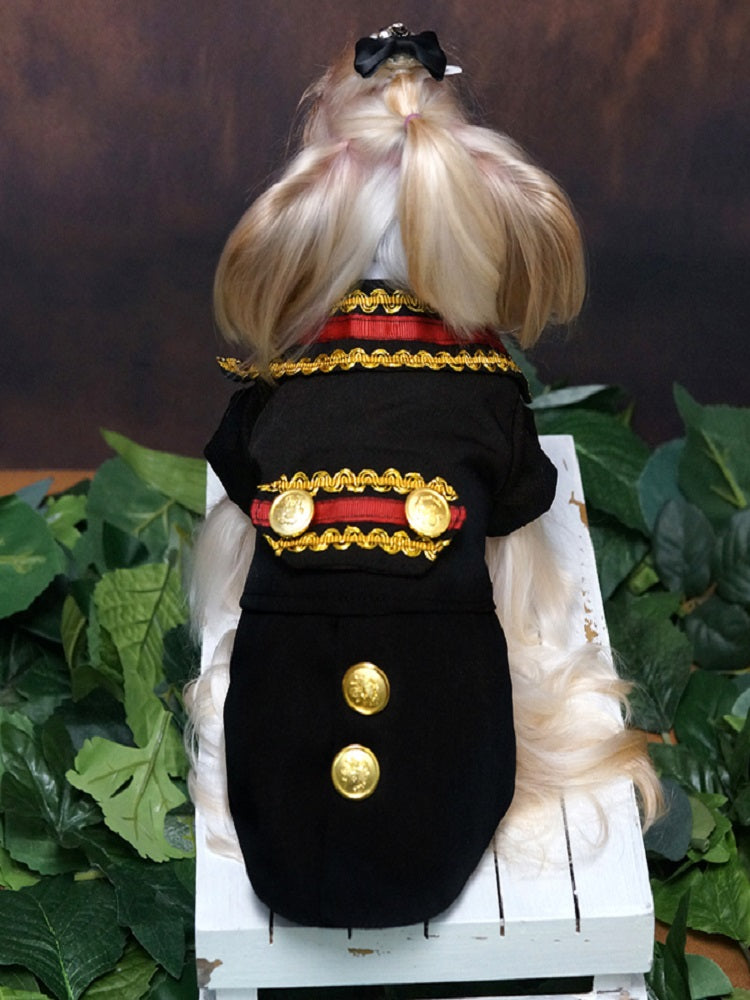 Dog wearing a formal black coat with gold buttons and red accents, sitting on a white box with green leaves in the background.