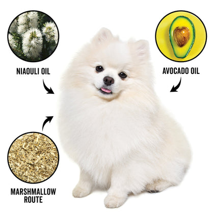 White dog with illustrations of niaouli oil, avocado oil, and marshmallow root on a white background