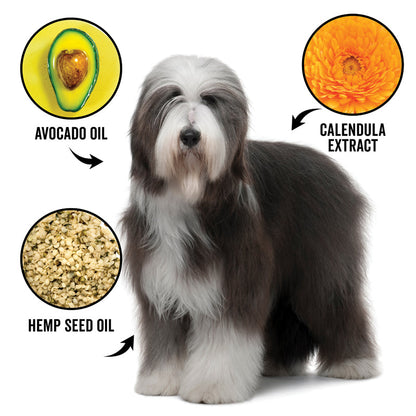 Dog with images of avocado oil, calendula extract, and hemp seed oil around it on a white background.