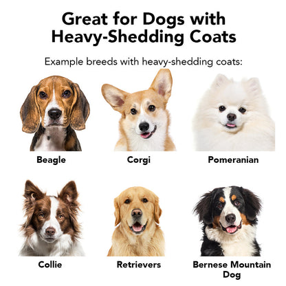 THE SHEDDER Dog Shampoo