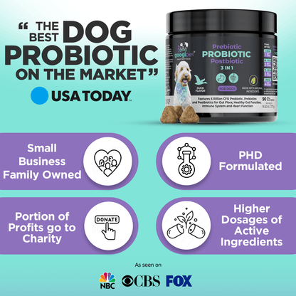 Dog probiotic product with USA Today endorsement on a teal background