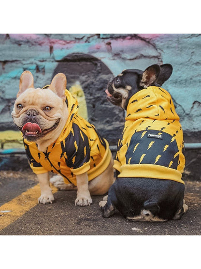 Two dogs wearing yellow hoodies with black patterns on a street with graffiti.
