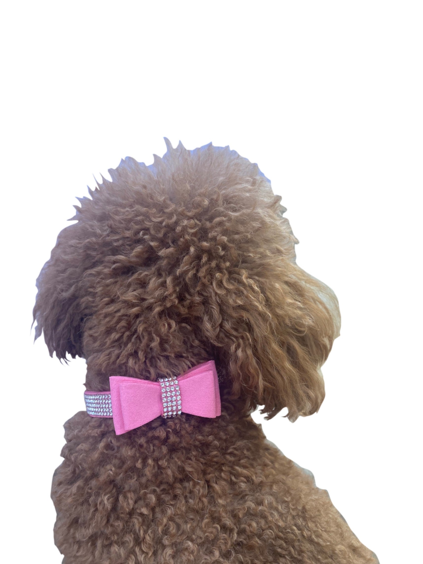 Dog Wearing Bow Tie Dog Collar in Pleather, Pink