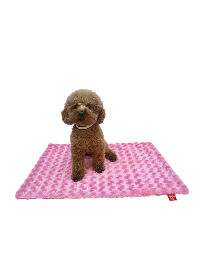 Small brown dog sitting on a pink patterned mat with a white background