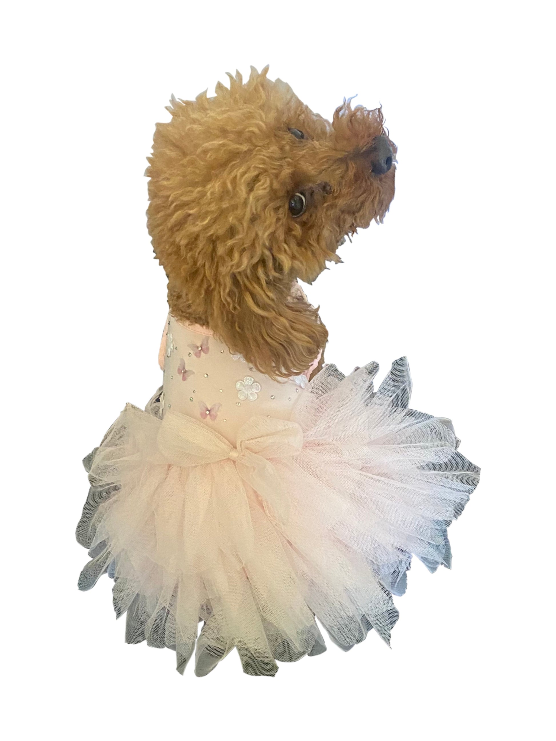 Stuffed dog toy with a fluffy brown coat and a white tutu on a white background