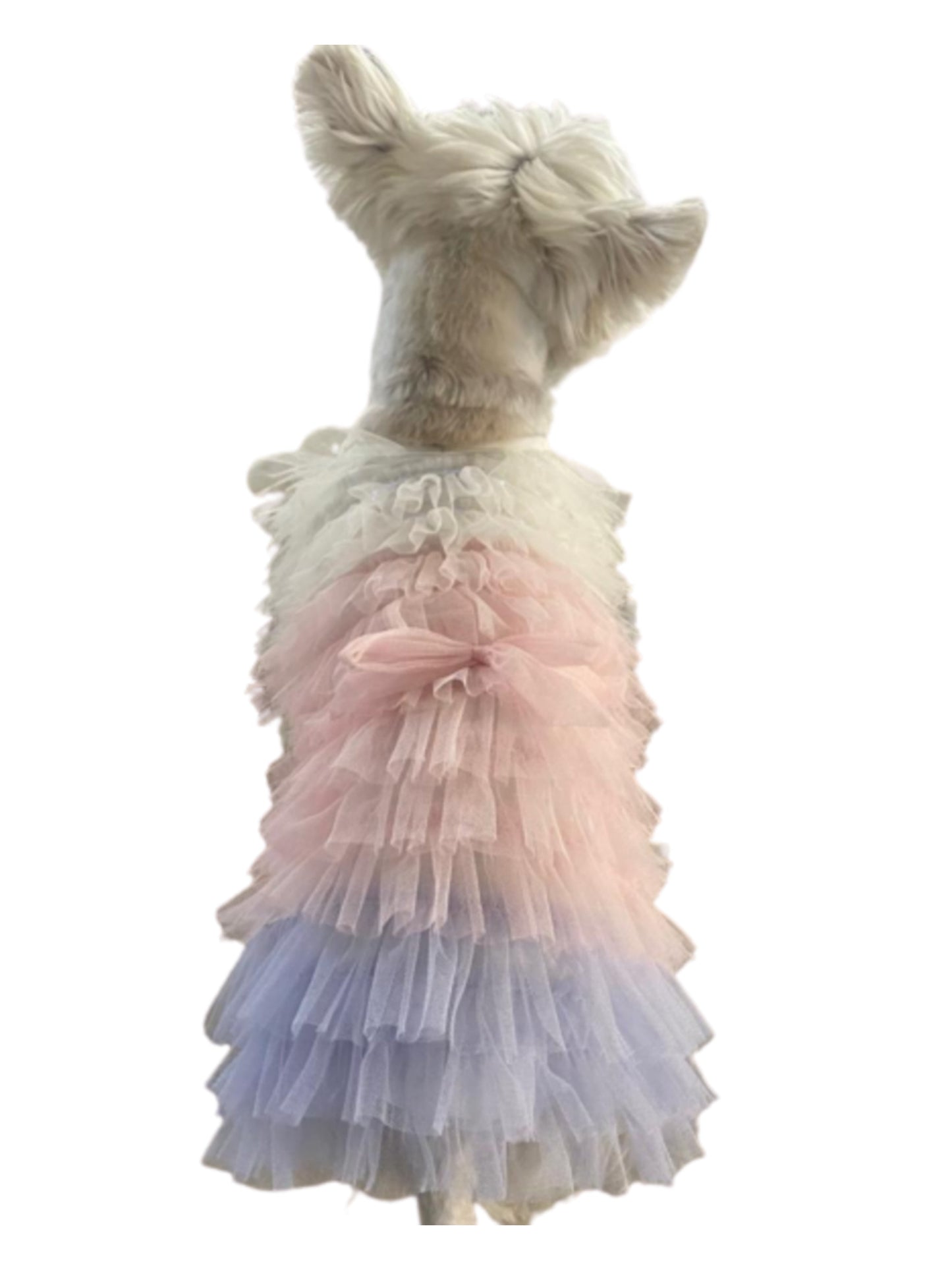 Dog wearing a layered ruffled dress with pink and blue colors on a white background