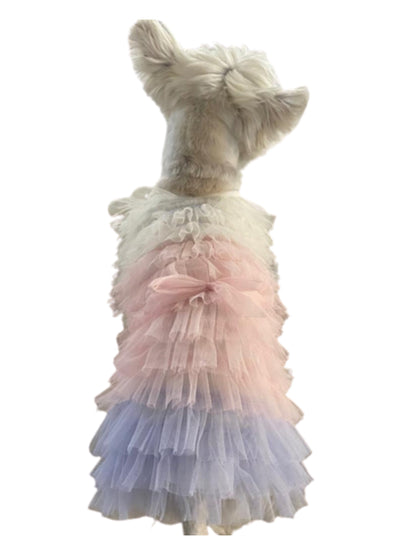 Dog wearing a layered ruffled dress with pink and blue colors on a white background