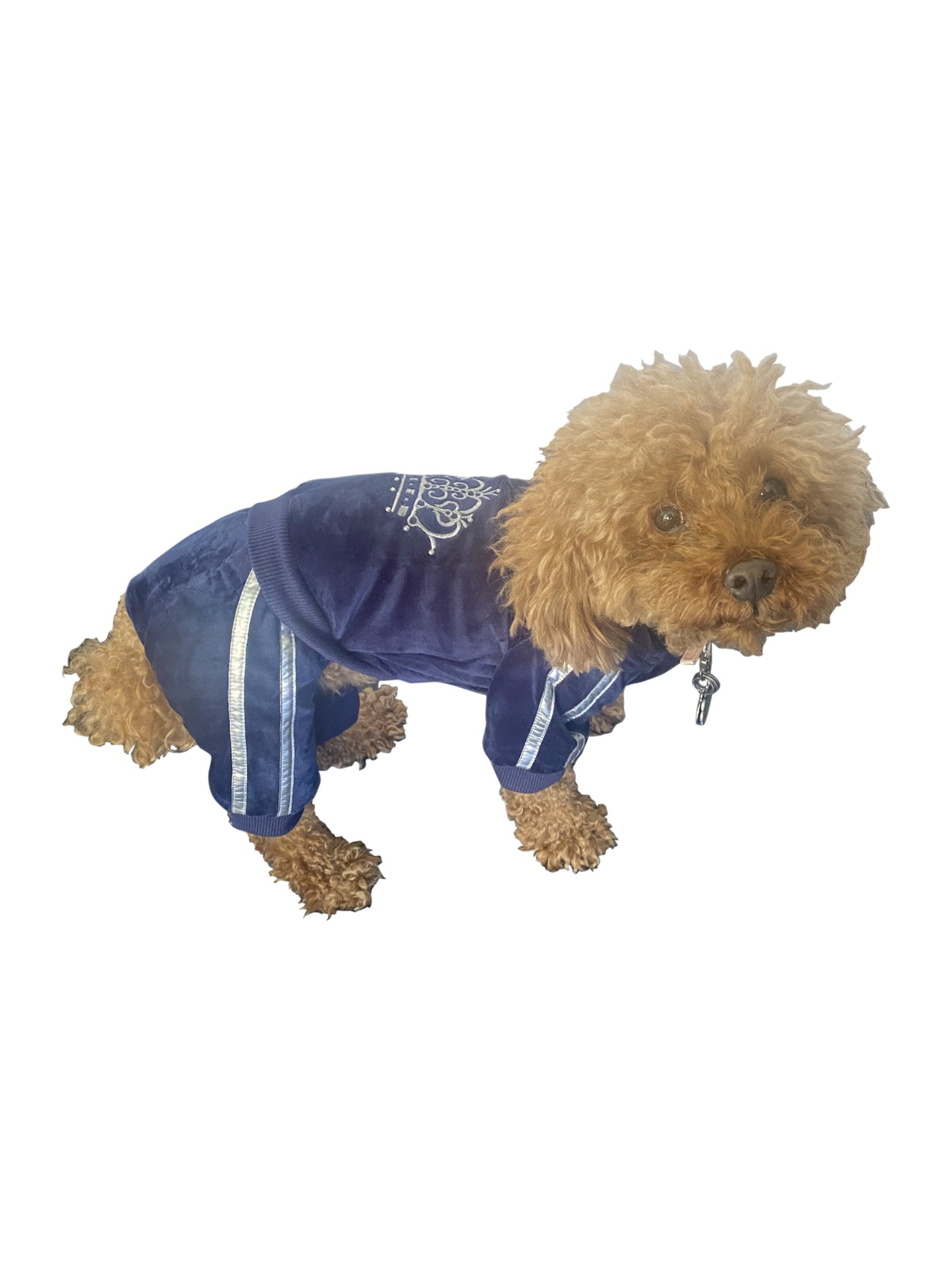 Run Run Run Tracksuit, Navy Blue