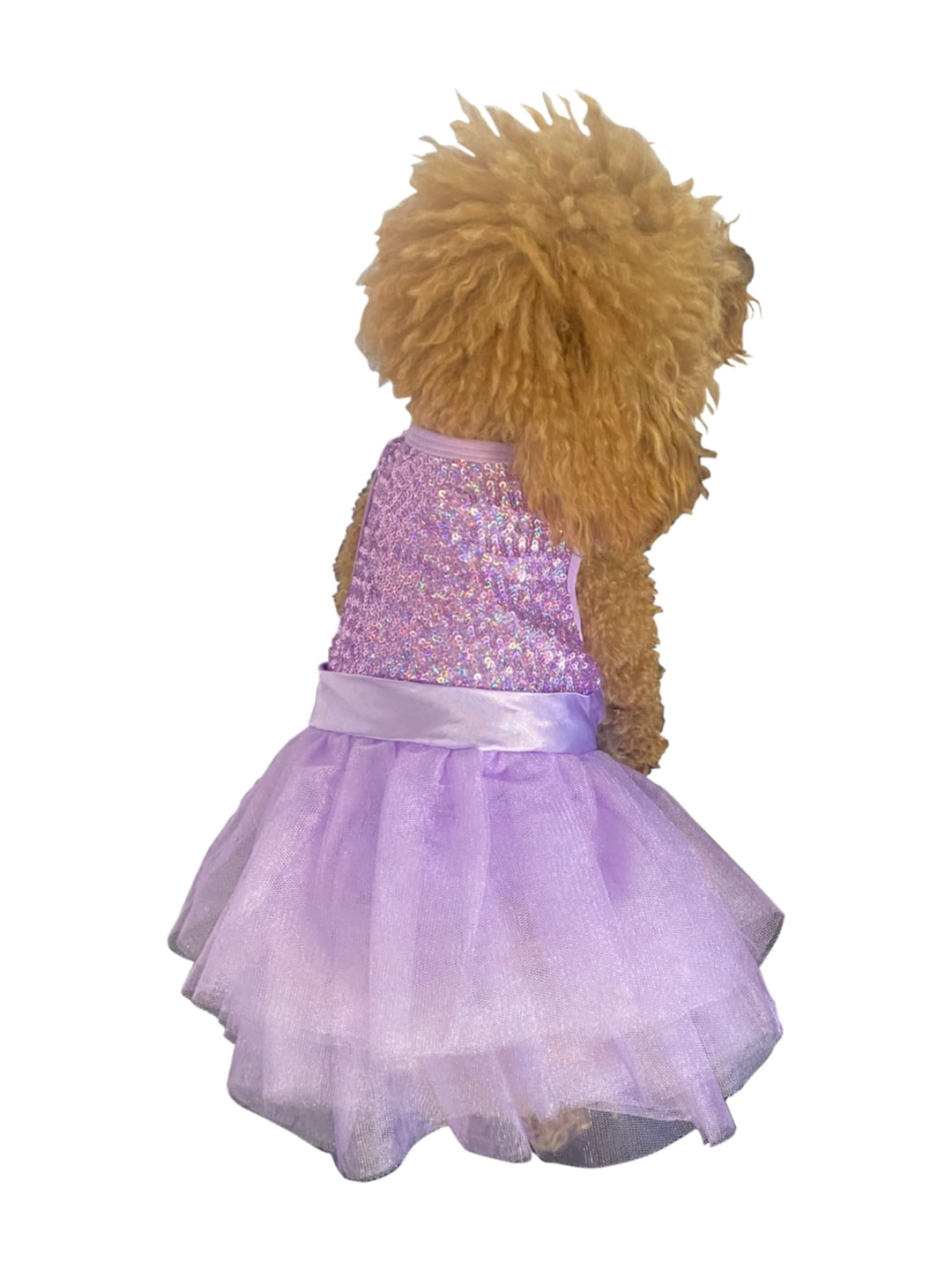 Dog wearing a sparkly purple dress on a white background