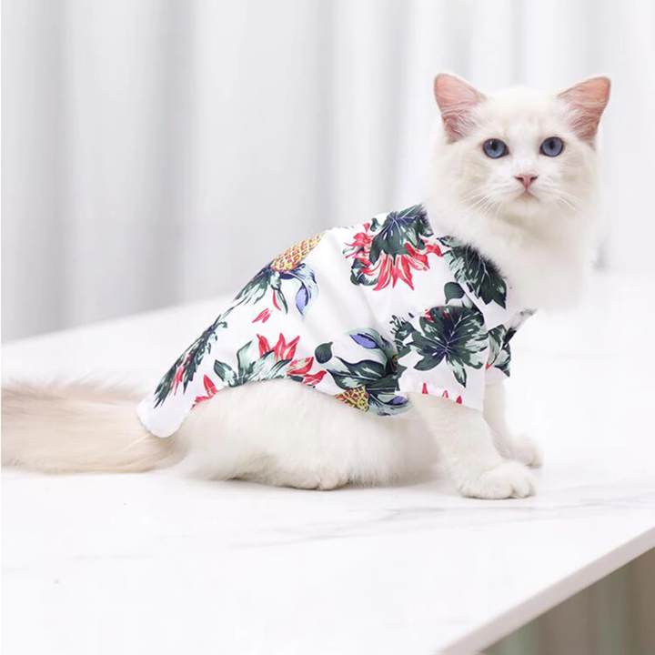 Cat wearing a floral shirt on a white background