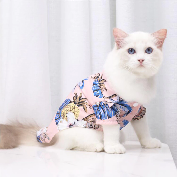 White cat wearing a colorful tropical shirt on a white background
