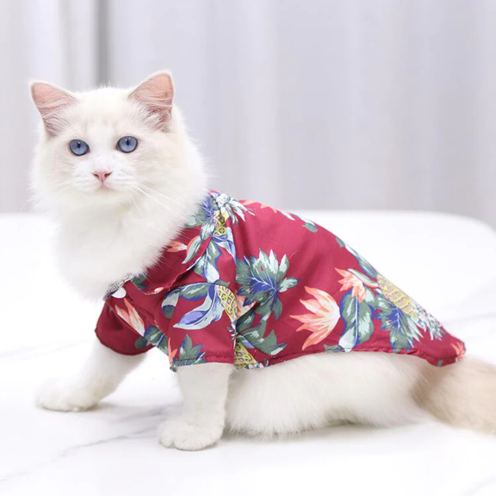 White cat wearing a red floral shirt on a white background
