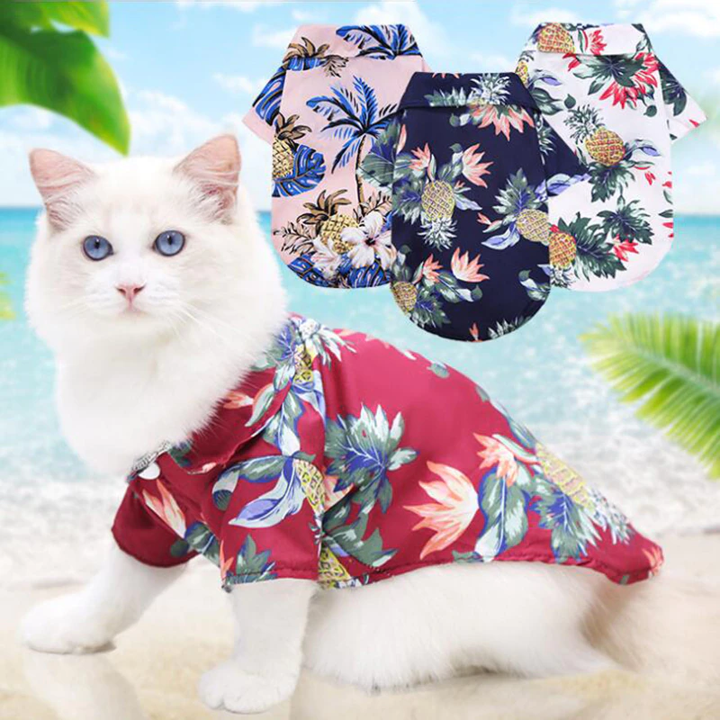Cat wearing a colorful floral shirt with tropical designs, set against a beach background.