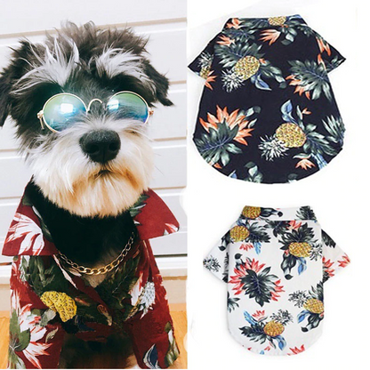 Dog wearing sunglasses and a floral shirt with pineapple pattern, surrounded by similar shirts.