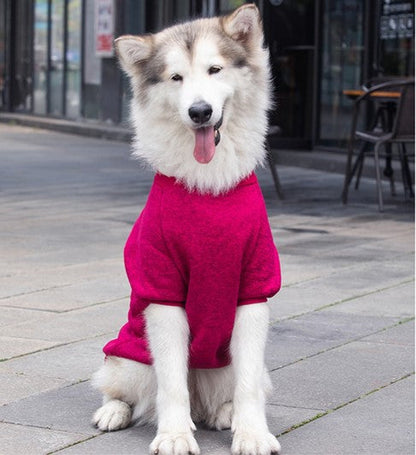 Dog wearing a pink sweater on a sidewalk