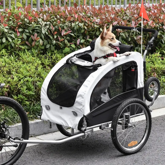 Dog in a bicycle trailer with a green hedge and red flowers in the background