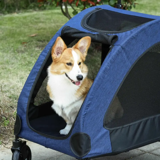 Dog peeking out of a blue pet carrier with a grassy area in the background